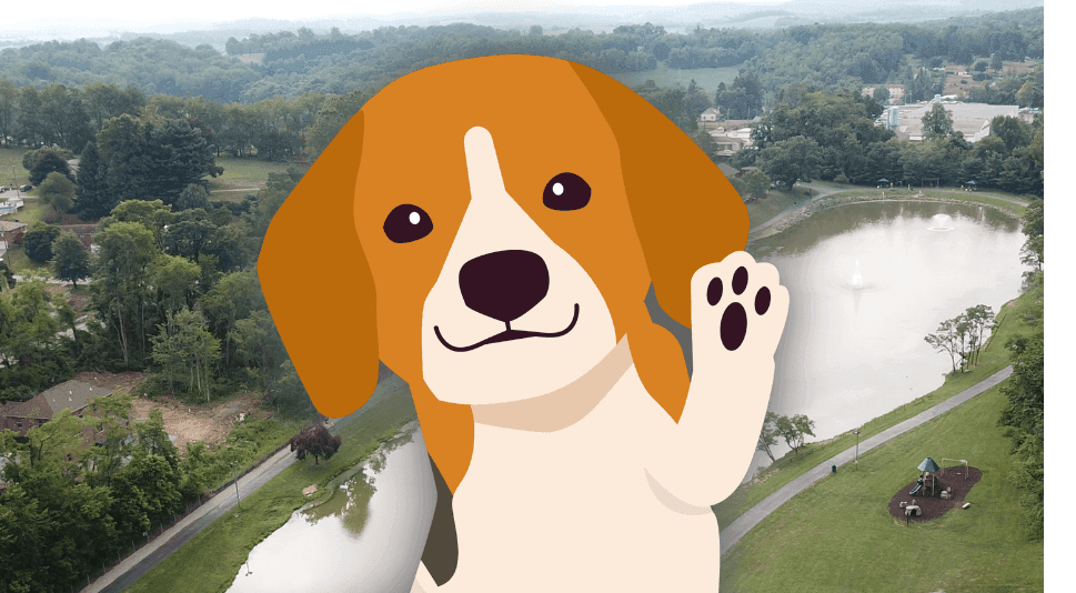 Dog Illustration over an image of a park with a lake, walking trails, and trees