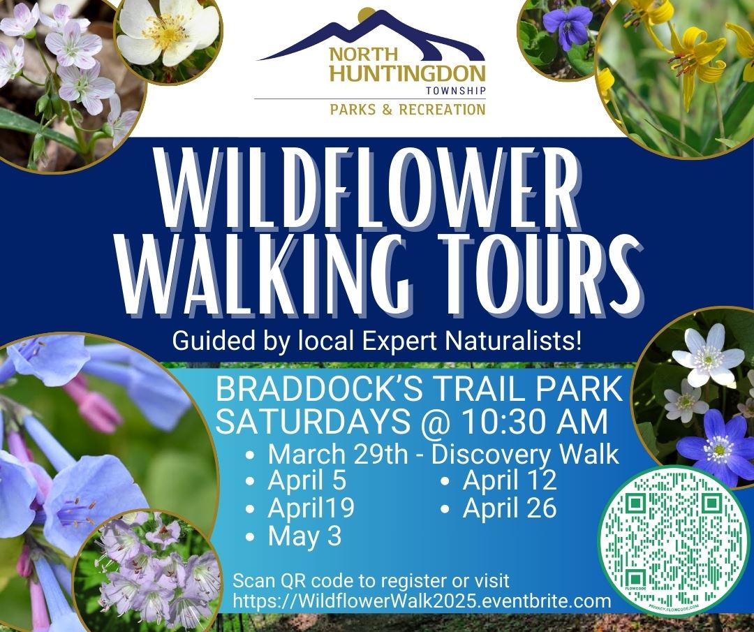 WILDFLOWER WALKS (2)