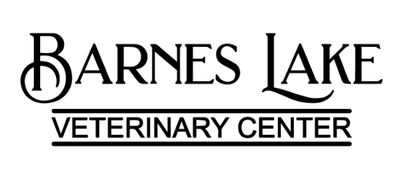Barnes Lake Vet Center